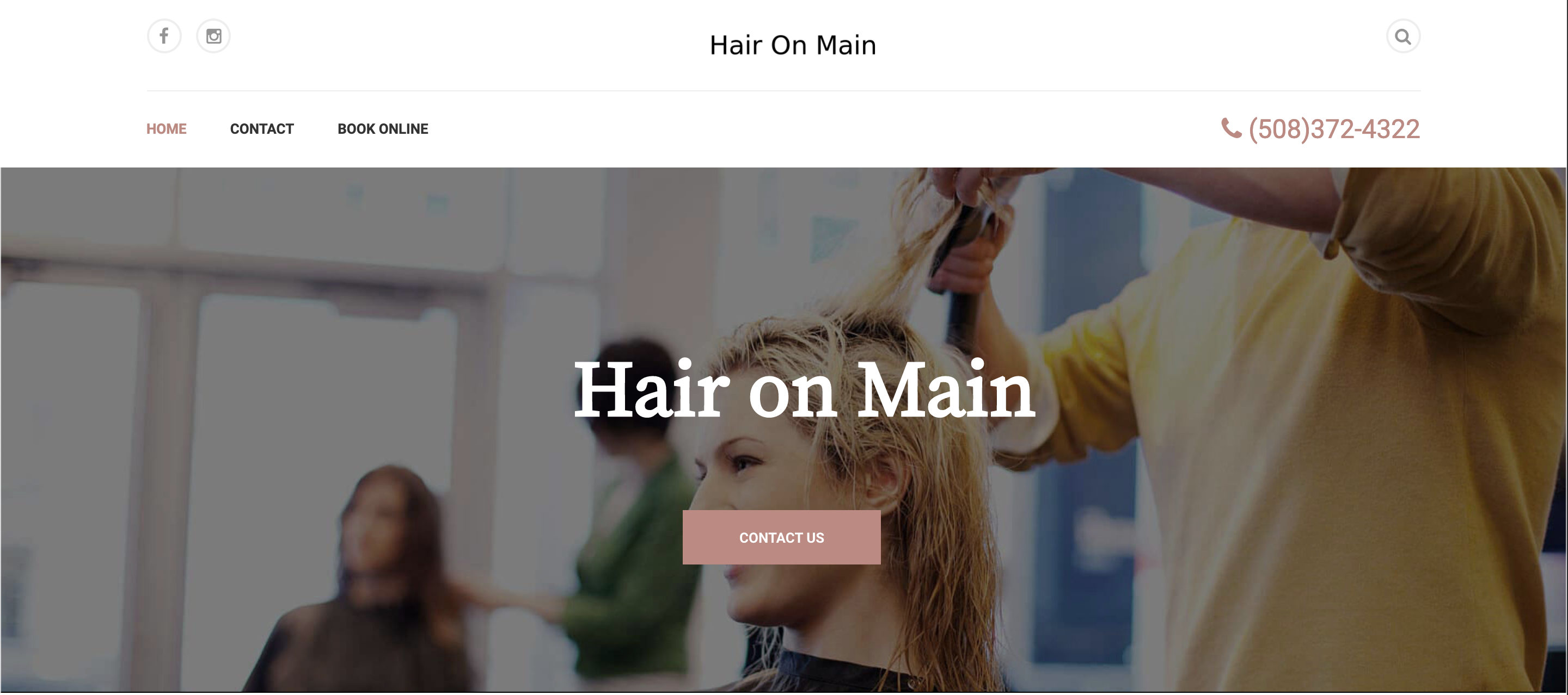 Picture of hair on main Website